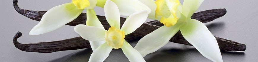 Tahitian Vanilla Pod